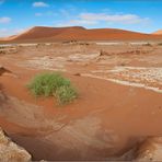 auf dem Weg in's Dead Vlei #2