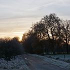 Auf dem Weg ins Gildehauser Venn