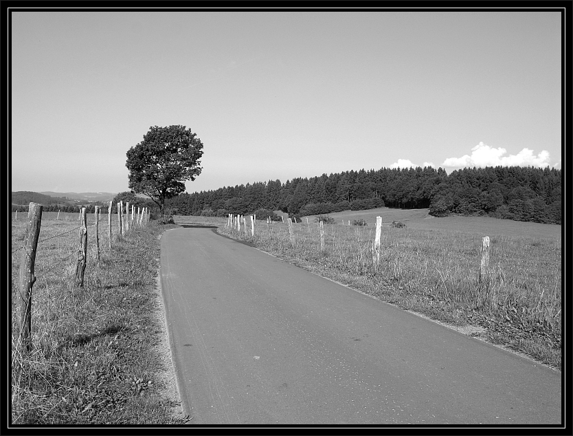 Auf dem Weg ins Grüne