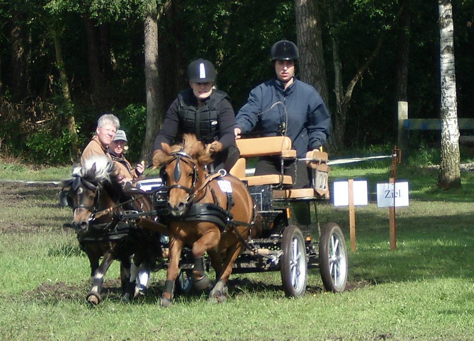 Auf dem Weg ins Hindernis