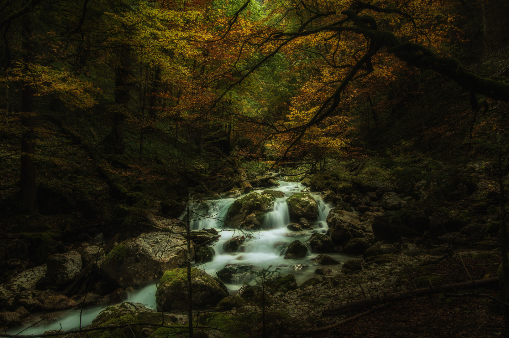 Auf dem Weg ins Höllental 2