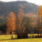 Auf dem Weg ins Kirnitzschtal