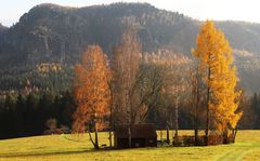 Auf dem Weg ins Kirnitzschtal