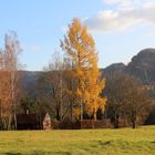 Auf dem Weg ins Kirnitzschtal- zum Zweiten