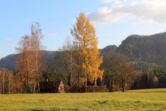 Auf dem Weg ins Kirnitzschtal- zum Zweiten