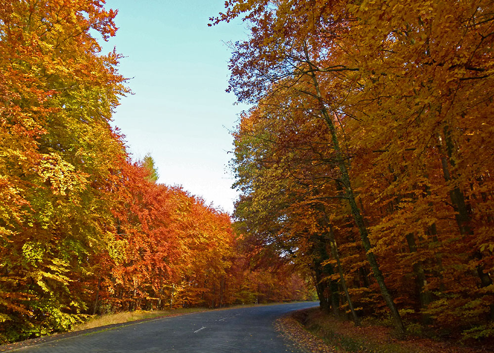 Auf dem Weg ins Konikland...