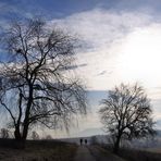 auf dem Weg ins Licht