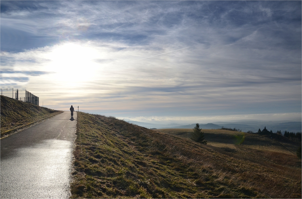 auf dem WEG in`s LICHT