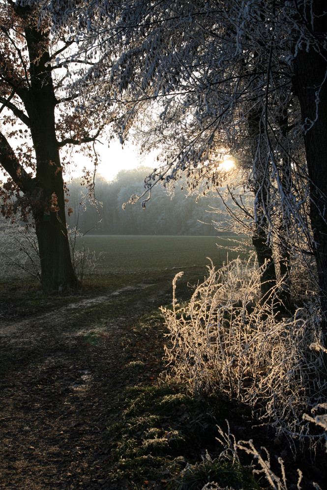 Auf dem Weg ins Licht