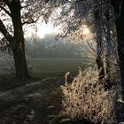 Auf dem Weg ins Licht