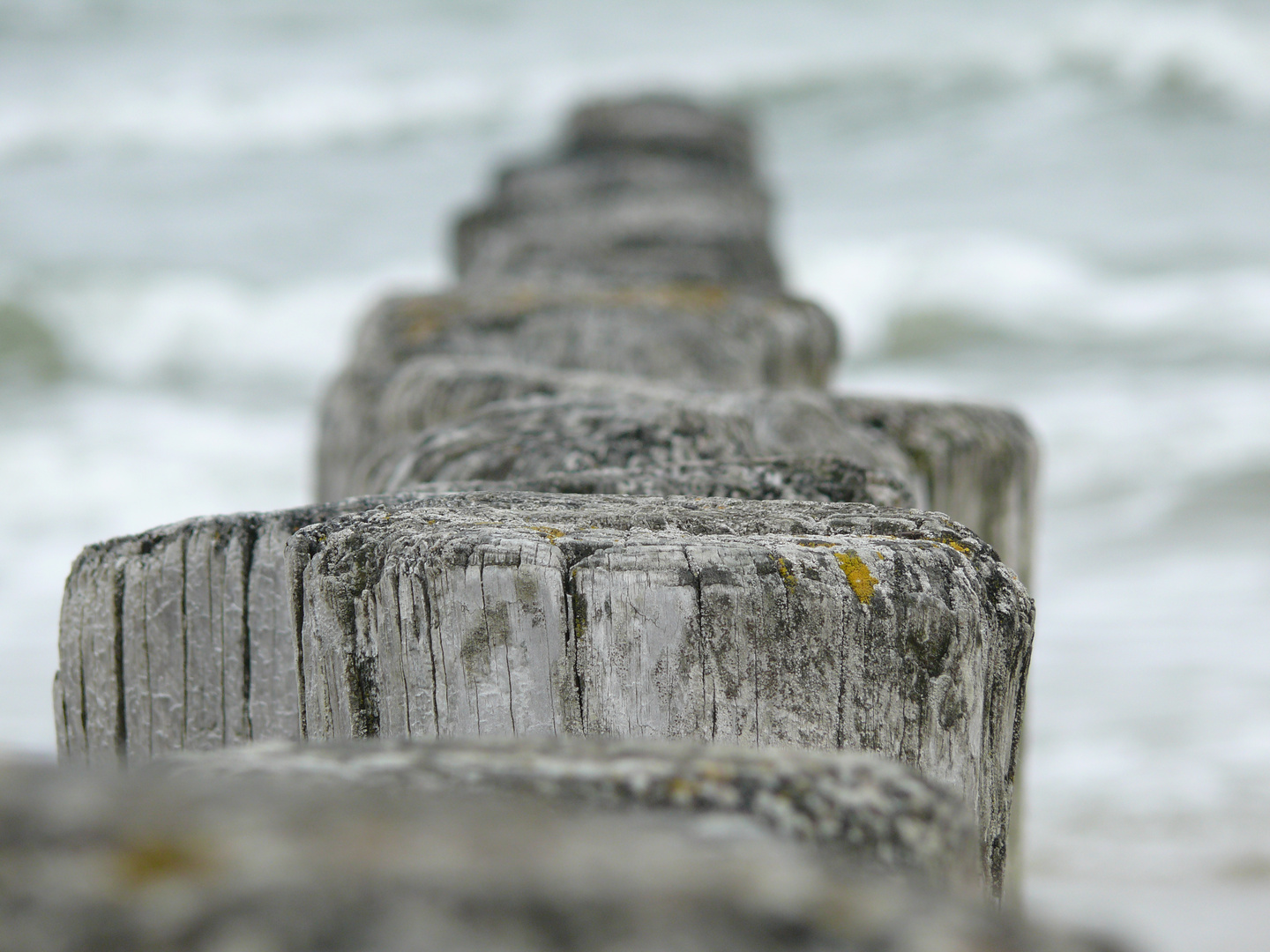 Auf dem Weg ins Meer