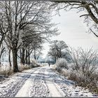 AUF DEM WEG IN'S NEUE JAHR