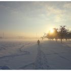 Auf dem Weg ins neue Jahr