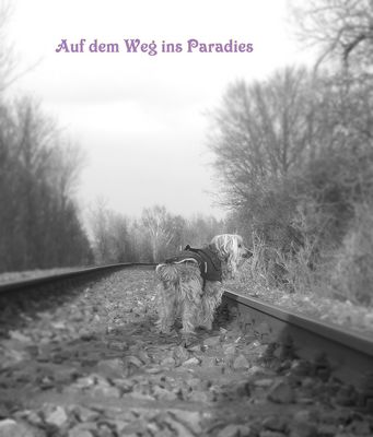 Auf dem Weg ins Paradies