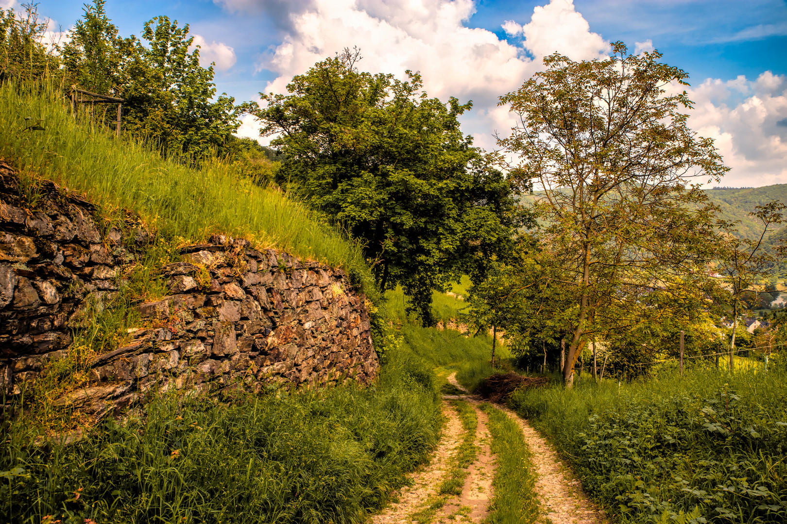 Auf dem Weg ins Rheintal