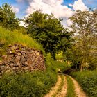 Auf dem Weg ins Rheintal