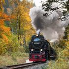 Auf dem Weg ins Selketal
