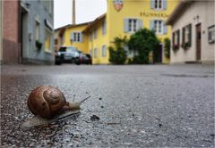 auf dem Weg ins Wirtshaus