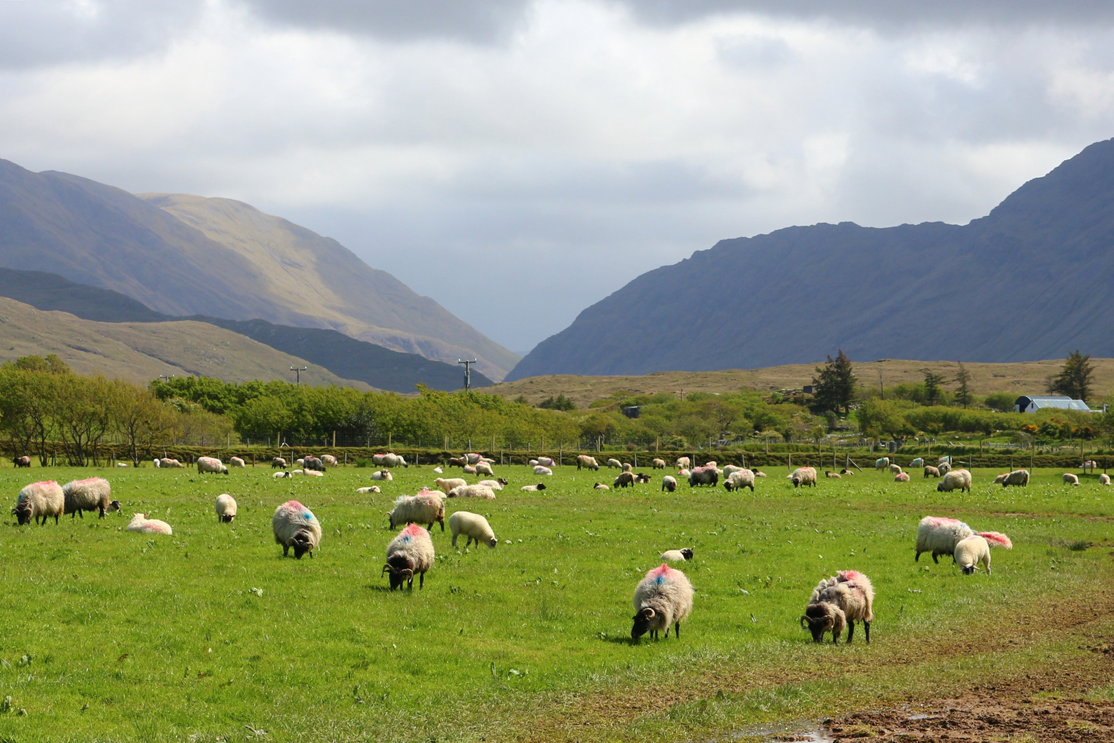 Auf dem Weg nach Achill Island Kerl