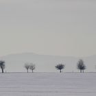 Auf dem Weg nach Altenau