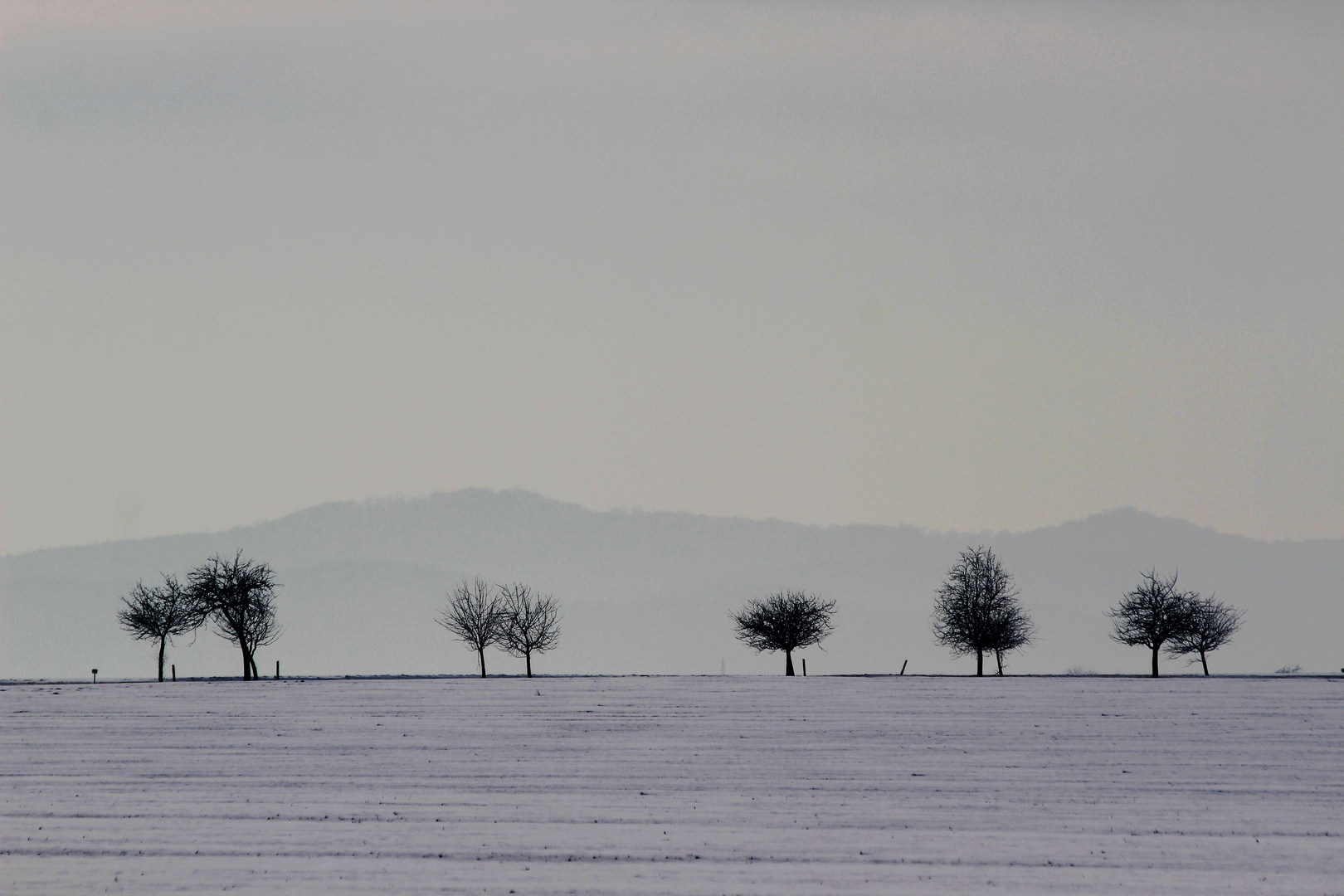 Auf dem Weg nach Altenau II