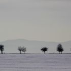 Auf dem Weg nach Altenau II