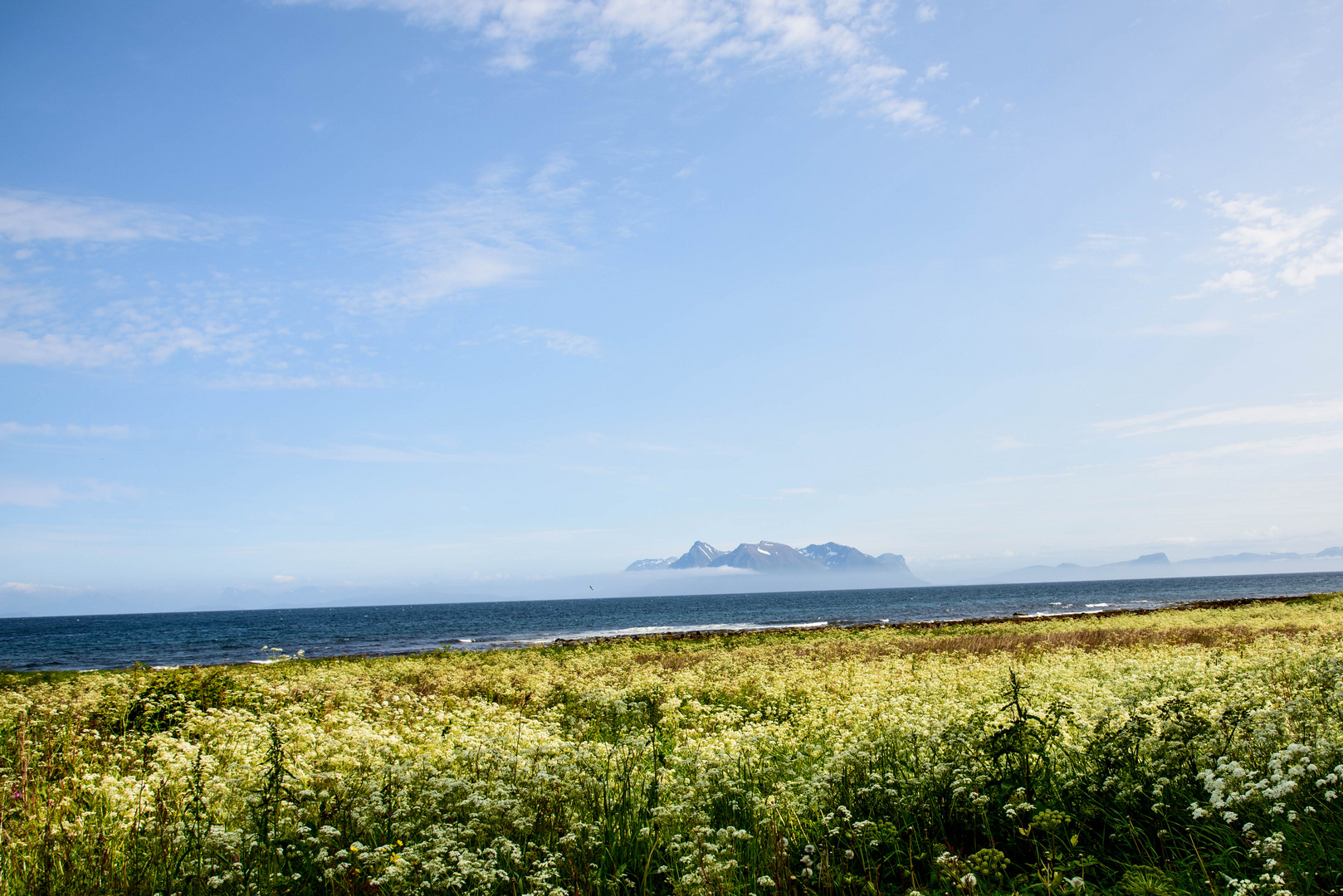 Auf dem Weg nach Andenes