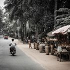 auf dem weg nach angkor wat....