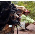 Auf dem Weg nach Ban Lung - Ratanakiri, Kambodscha