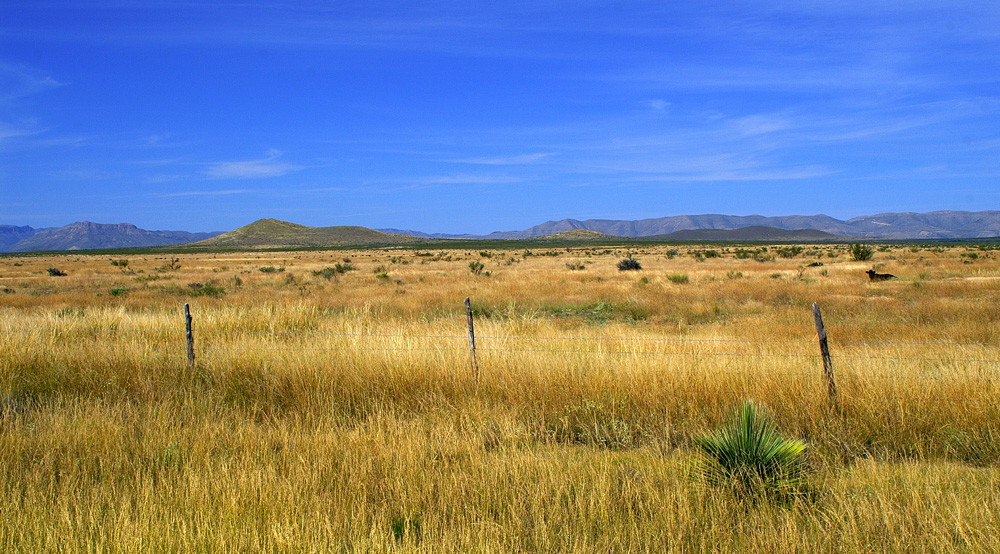 Auf dem Weg nach Big Bend NP