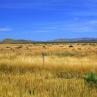 Auf dem Weg nach Big Bend NP