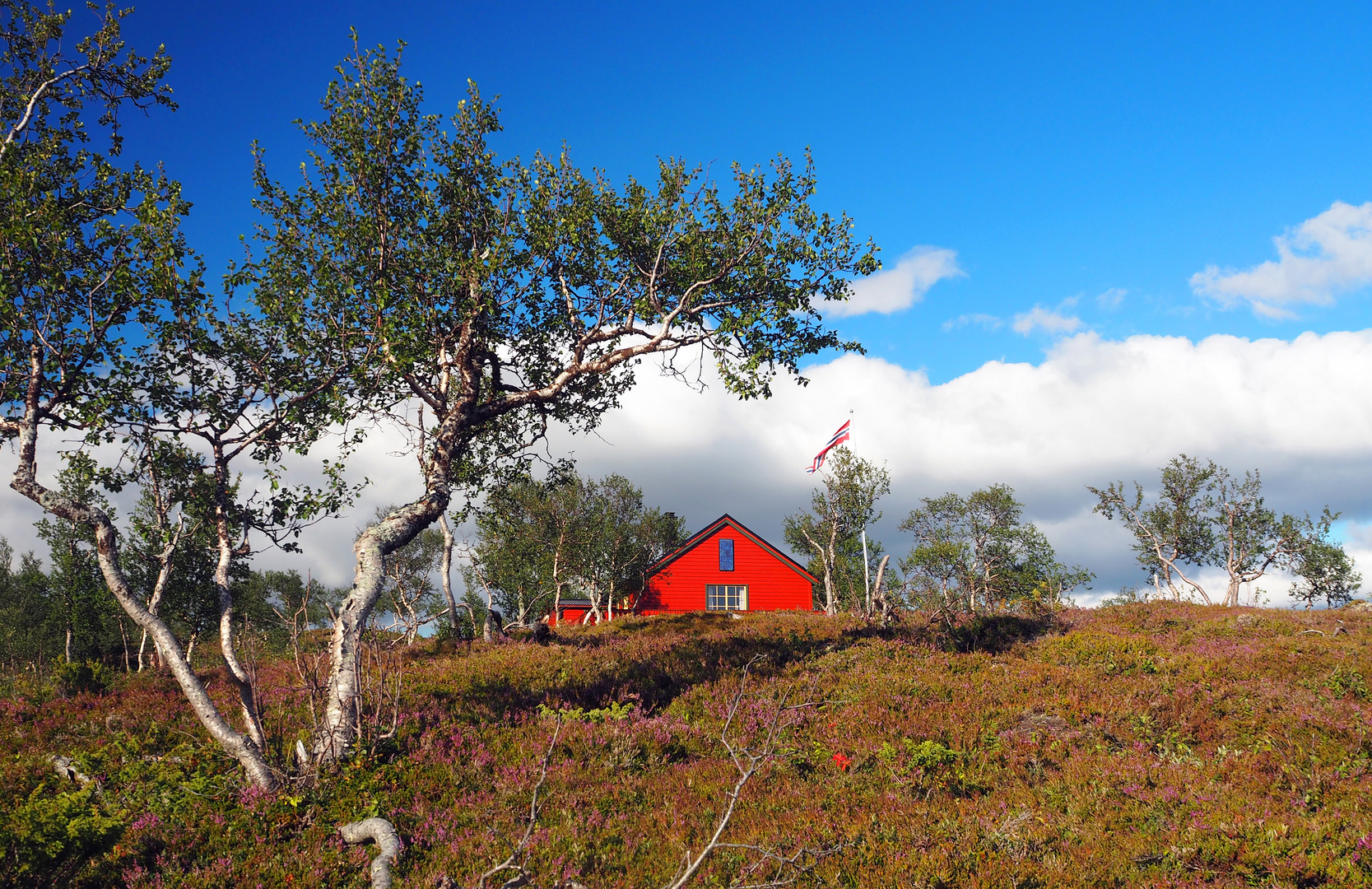 Auf dem Weg nach Bodø