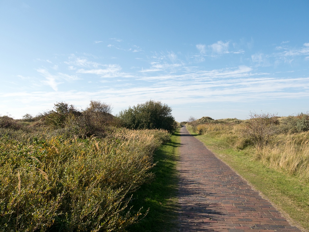 Auf dem Weg nach Borkum