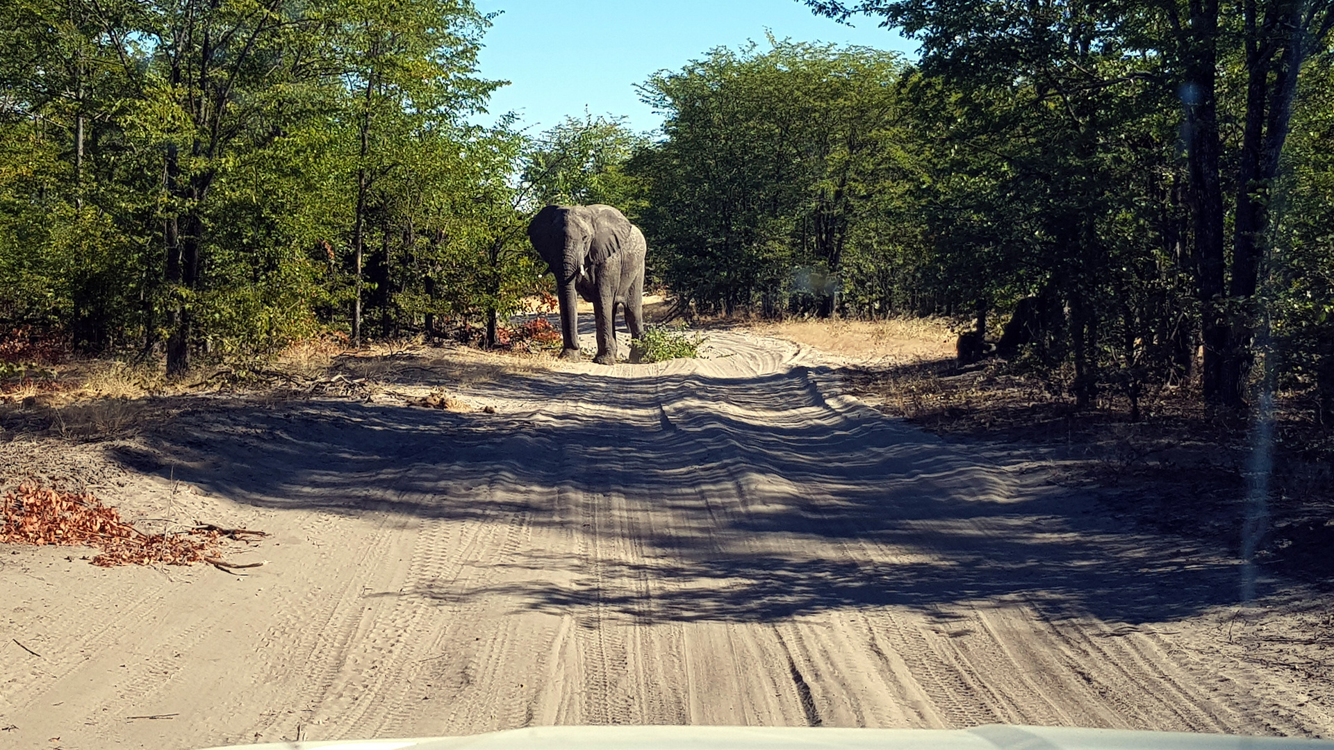 auf dem Weg nach Botswana durch die Sandwege