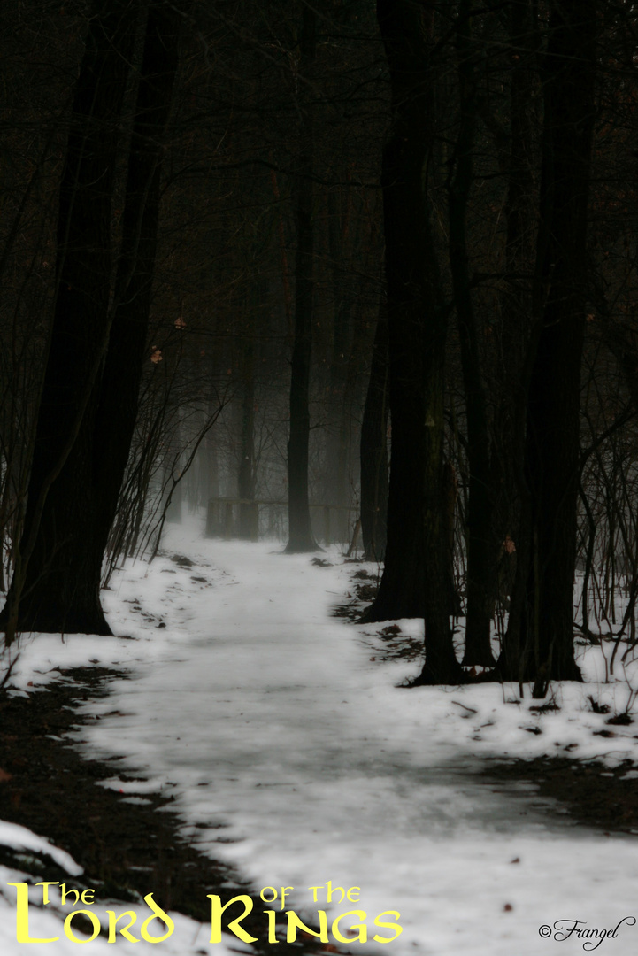 Auf dem Weg nach Bree