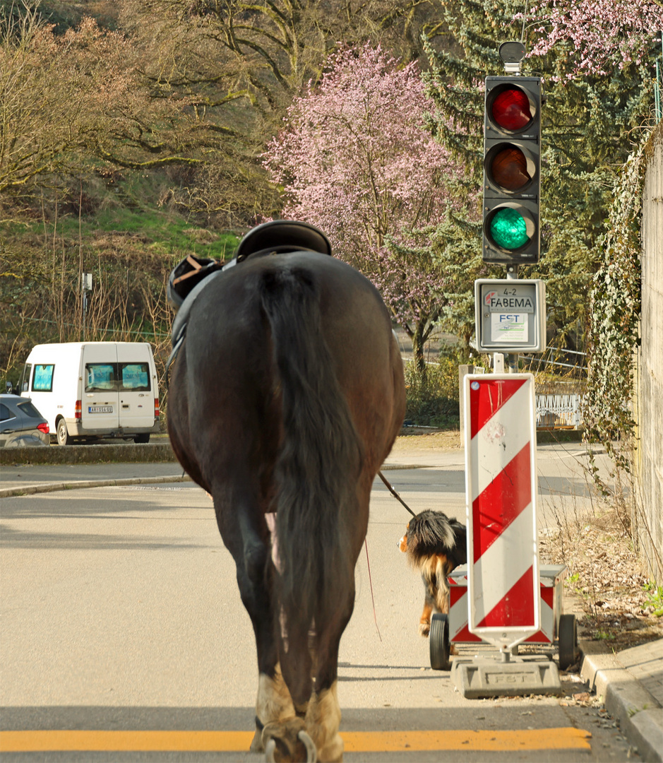 ... auf dem Weg nach Bremen