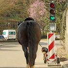 ... auf dem Weg nach Bremen