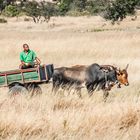 Auf dem Weg nach Bulawayo - Kalahari Ferrari