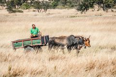 Auf dem Weg nach Bulawayo - Kalahari Ferrari