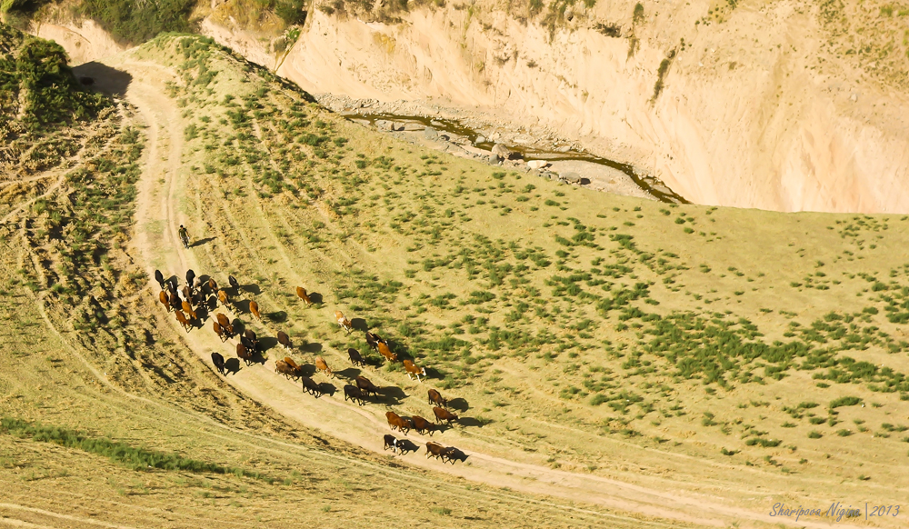 Auf dem Weg nach Duschanbe. Luchob, Tadschikistan 2013.