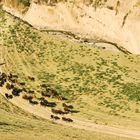 Auf dem Weg nach Duschanbe. Luchob, Tadschikistan 2013.