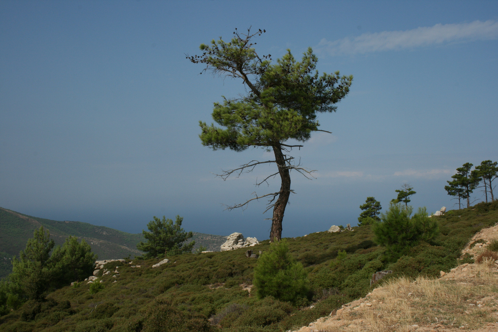 auf dem Weg nach ganz oben auf Thassos