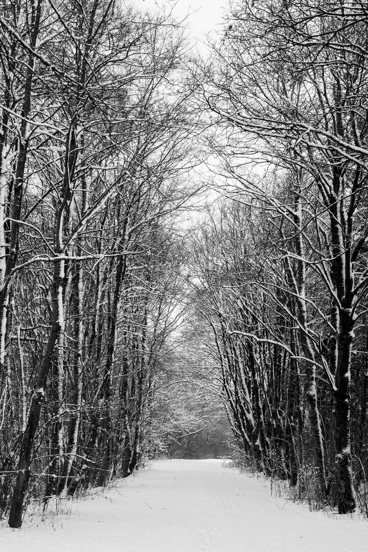 Auf dem Weg nach Garching. 2015-01-17.