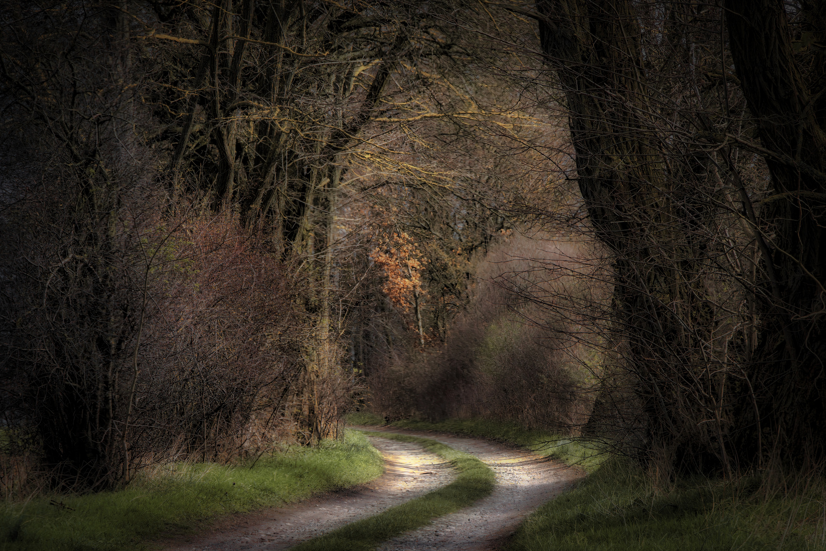 Auf dem Weg nach Hasenholz