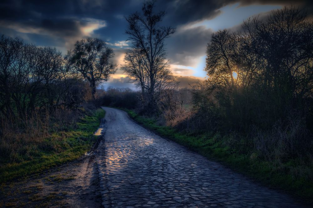 Auf dem Weg nach Hause Foto & Bild deutschland, europe