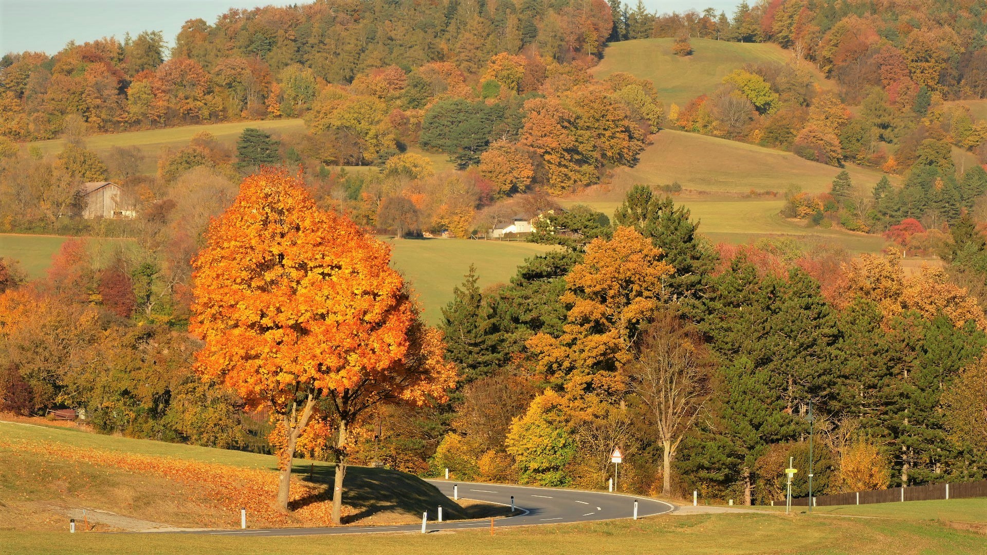 Auf dem Weg nach Hause