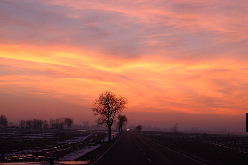 Auf dem Weg nach Hause...