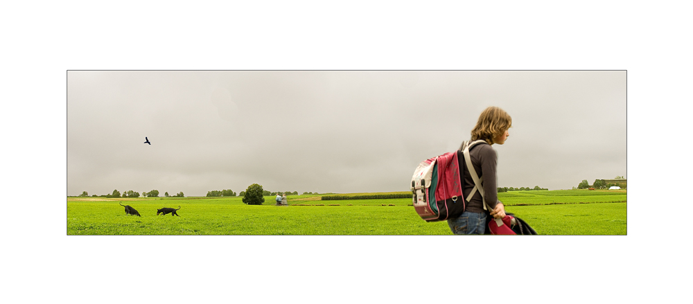 Auf dem Weg nach Hause Foto & Bild landschaft, Äcker