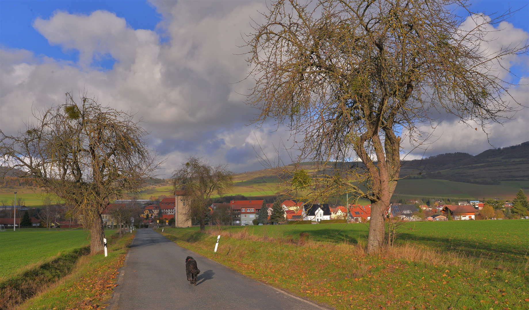 auf dem Weg nach Hause (en camino a casa)