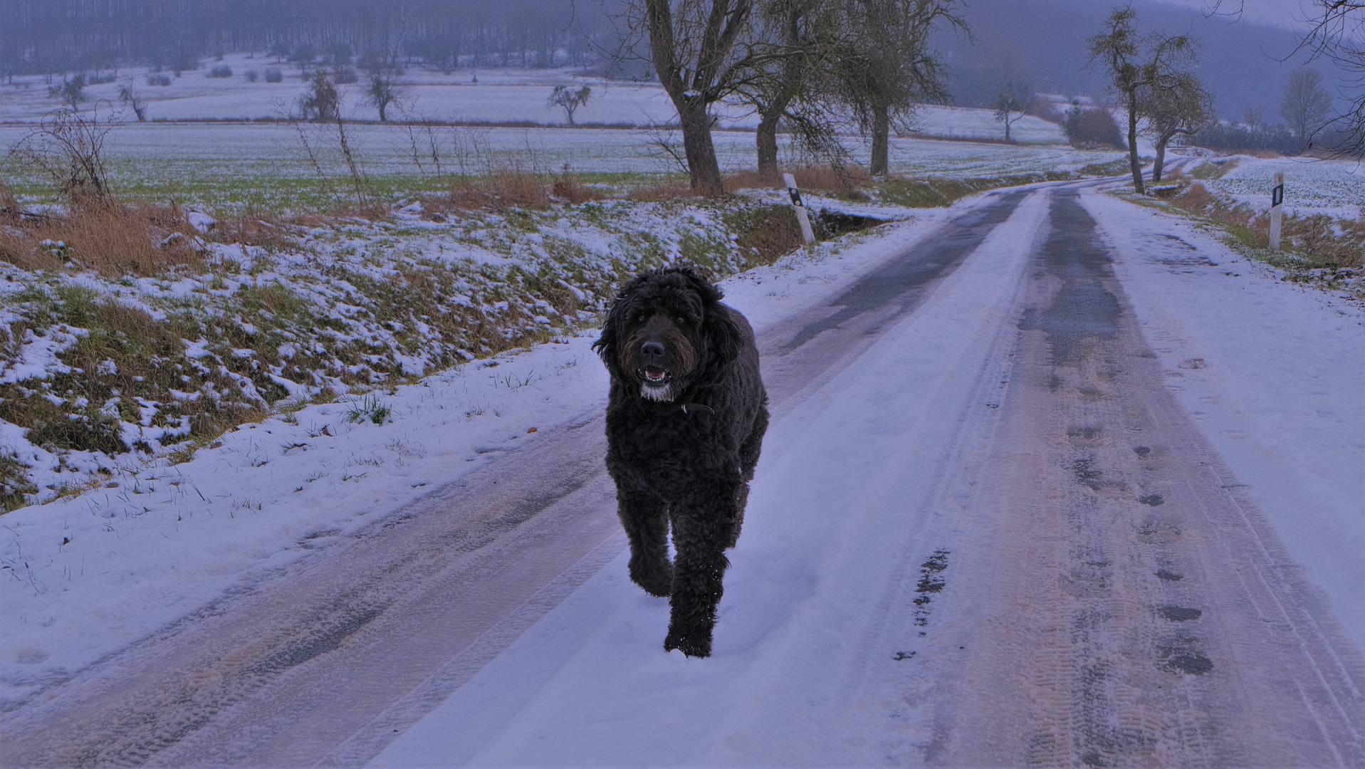 auf dem Weg nach Hause (en camino a casa)